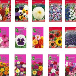 Nojus - Bloemzaad Set – 15 Soorten – Eenvorige & Tweejarige Bloemen – 15 Pakjes – Kleurrijke Wildbloemen Plant – Ideaal Bloemzaad Geschenk