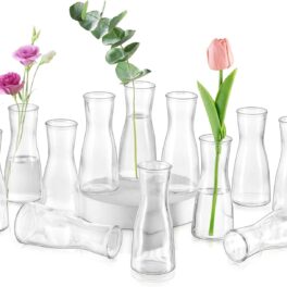 Glasseam Kleine Vazen Voor Tafeldecoratie, Moderne Transparante Vaas Set Van 12, Minimalistische Bloemenvaas Voor Bruiloft, Decoratieve Glazen Vazen Voor Bloemen, Leuke Party Eetkamer Bud Vase Decor